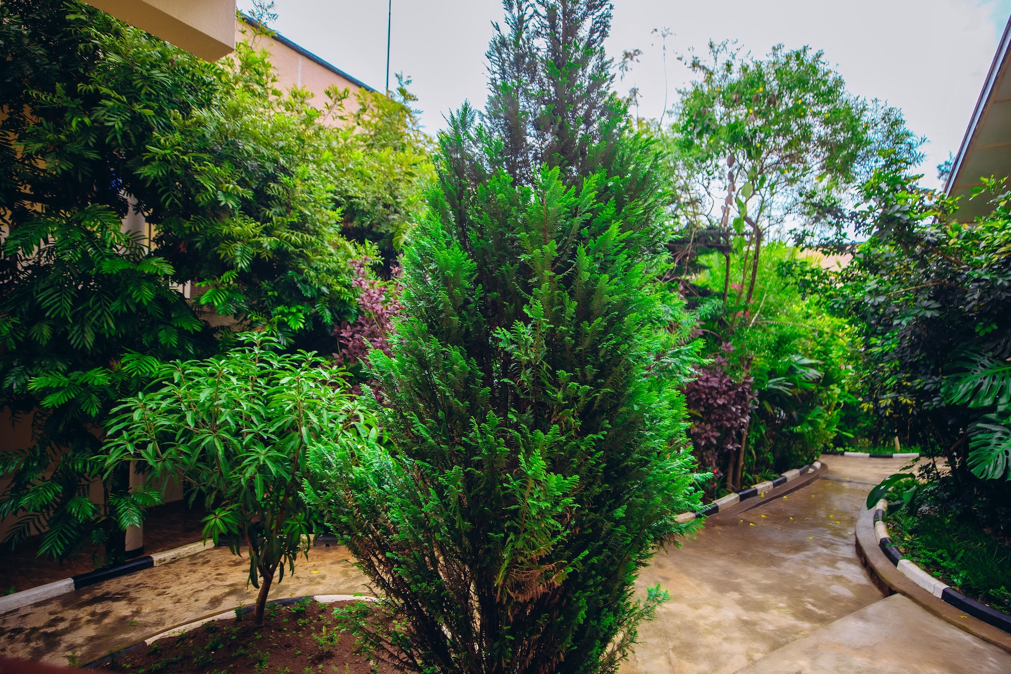 gallery-img